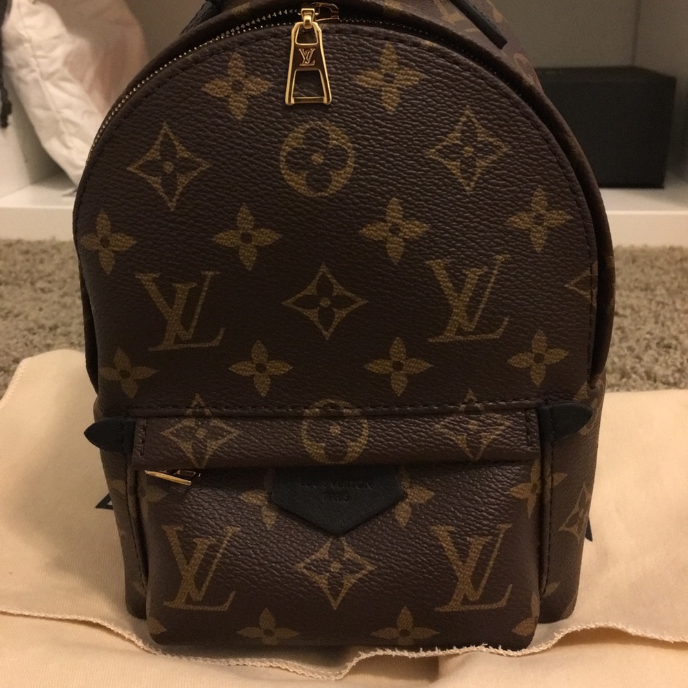 Louis Vuitton Palm Springs Mini Backpack